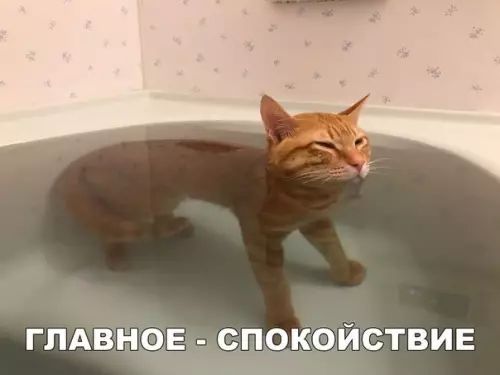 ГЛАВНОЕ СПОКОЙСТВИЕ