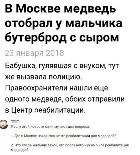 В Москве медведь отобрал у мальчика бутерброд с сыром Бабушка гулявшая с внуком тут же вызвала полицию Правоохранители нашли еще одного медведя обоих отправили в Центр реабилитации