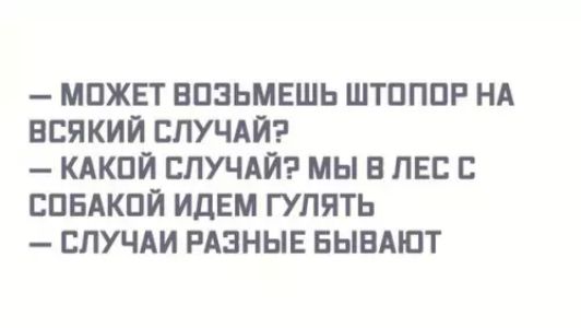 МОЖЕТ ВОЗЬМЕШЬ ШТОПОР НА ВСЯКИЙ СЛУЧАЙ КАКОЙ СЛУЧАЙ МЫ В ЛЕС С СОБАКОЙ ИДЕМ ГУЛЯТЬ СЛУЧАИ РАЗНЫЕ БЫВАЮТ