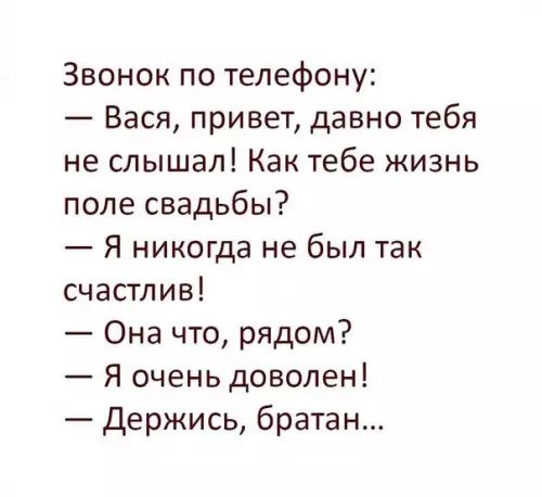 Звонок по телефону Вася привет давно тебя не слышал Как тебе жизнь поле свадьбы Я никогда не был так счастлив Она что рядом Я очень доволен Держись братан