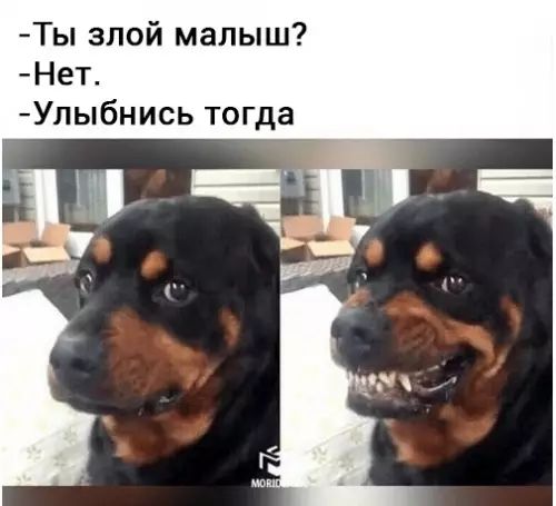 Ты злой малыш Нет Улыбнись тогда