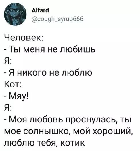 АНага соид_зугирб66 Человек Ты меня не любишь Я Я никого не люблю Кот Мяу Я Моя любовь проснулась ты мое солнышко мой хороший люблю тебя котик