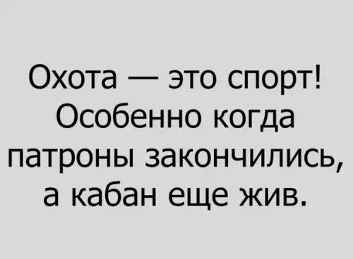 Охота это спорт Особенно когда патроны закончились а кабан еще жив