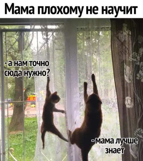 Мама плохому не научит