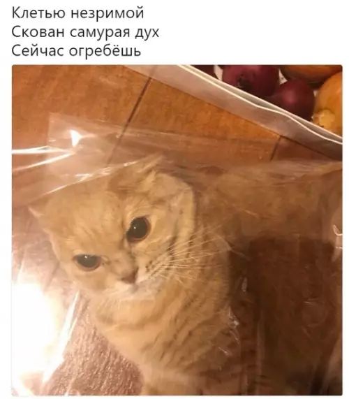 Клетью незримой Скован самурая дух Сейчас огребёшь