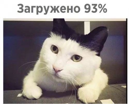 Загружено 93