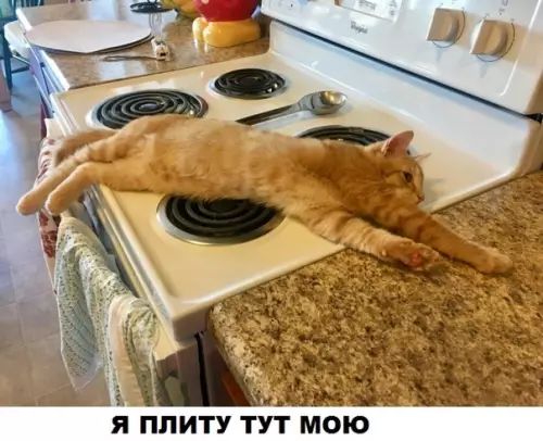 Я ПЛИТУ ТУТ МОЮ