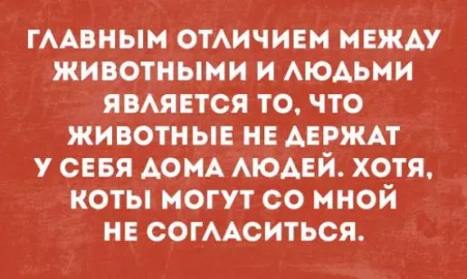 ГЛАВНЫМ ОТЛИЧИЕМ МЕЖДУ животными и ЛЮдЬМИ ЯВЛЯЕТСЯ ТО ЧТО ЖИВОТНЫЕ НЕ ДЕРЖАТ У СЕБЯ ДОМА ЛЮДЕЙ ХОТЯ КОТЫ МОГУТ СО МНОЙ НЕ СОГЛАСИТЬСЯ