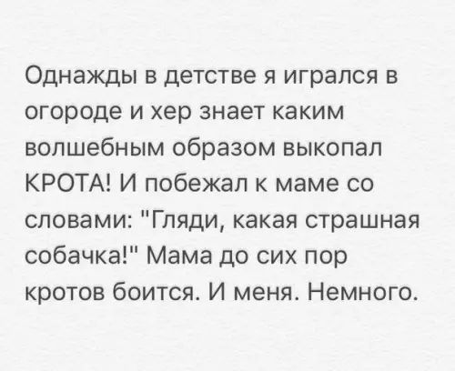 Однажды в детстве я игрался в огороде и хер знает каким волшебным образом выкопал КРОТА И побежал к маме со словами Гляди какая страшная собачка Мама до сих пор кротов боится И меня Немного