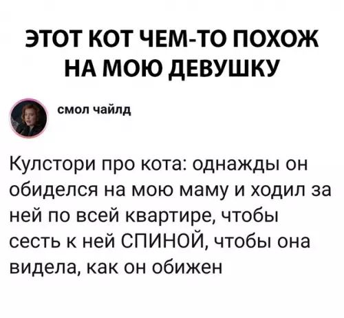 ЭТОТ КОТ ЧЕМ ТО ПОХОЖ НА МОЮ ДЕВУШКУ смол чайлд Кулстори про кота однажды он обиделся на мою маму и ходил за ней по всей квартире чтобы сесть к ней СПИНОЙ чтобы она видела как он обижен