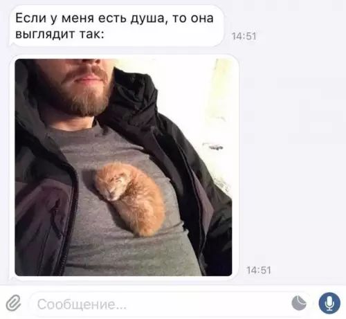 Если у меня есть душа то она выглядит так