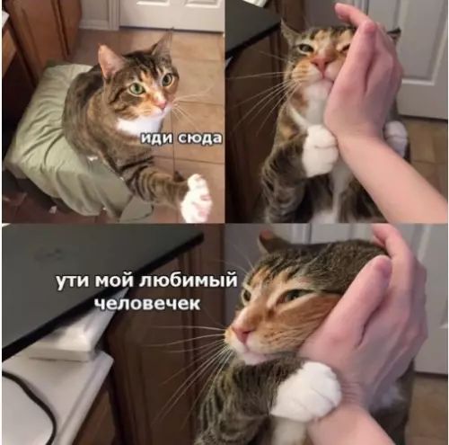 ути мой любимый й человечек у