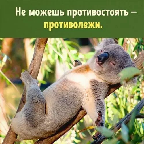 Не можешь противостоять противолежи