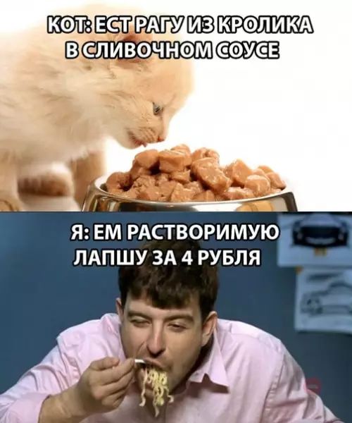 КОЛДЕСПВАПДИЗКВОЛИКА ВСЛИВОЧНОМСОУСЕ Я ЕМ РАСТВОРИМУЮ ЛАПШУ ЗА 4 РУБЛЯ