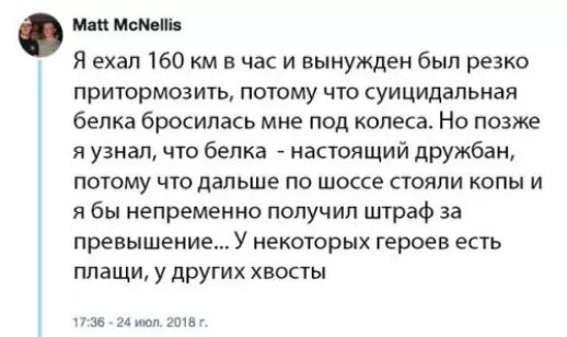 Ма МсМетз Я ехал 160 км в час и вынужден был резко притормозить потому что суицидальная белка бросилась мне под колеса Но позже я узнал что белка настоящий дружбан потому что дальше по шоссе стояли копы и ябы непременно получил штраф за превышениеУ некоторых героев есть плащи у других хвосты 1736 24 мю 201