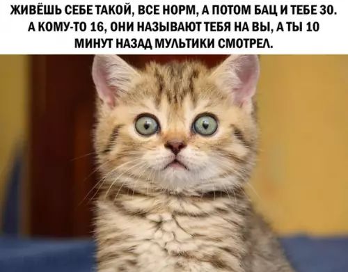 ЖИВЁШЬ СЕБЕ ТАКОЙ ВСЕ НОРМ А ПОТОМ БАЦ И ТЕБЕ 30 АКОМУ ТО 16 ОНИ НАЗЫВАЮТ ТЕБЯ НА ВЫ А ТЫ 10 МИНУТ НАЗАД МУЛЬТИКИ СМОТРЕЛ