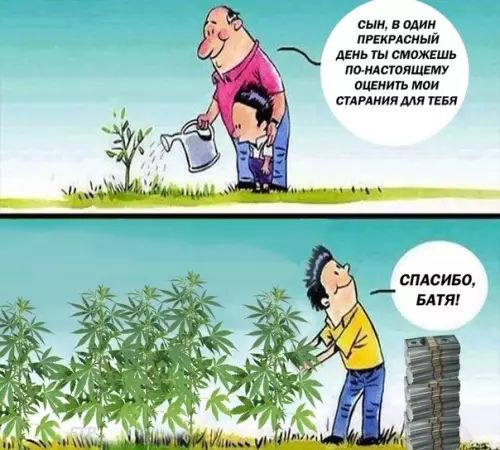 сын в один ПРЕКРАСНЫЙ леньты сМожЕШь ПО НАСТОЯЩЕМУ ОЦЕНИТЬ МОИ СТАРАНИЯ ДАЯ ТЕБЯ СПАСИБО БАТЯ