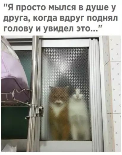 Я просто мылся в душе у друга когда вдруг поднял голову и увидел это В в 14