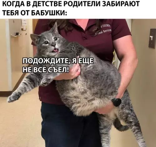 КОГДА В ДЕТСТВЕ РОДИТЕЛИ ЗАБИРАЮТ ТЕБЯ ОТ БАБУШКИ