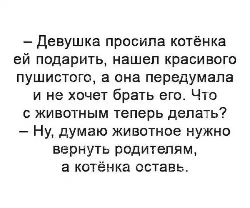 Девушка просила котёнка ей подарить нашел красивого пушистого а она передумала и не хочет брать его Что с животным теперь делать Ну думаю животное нужно вернуть родителям а котёнка оставь