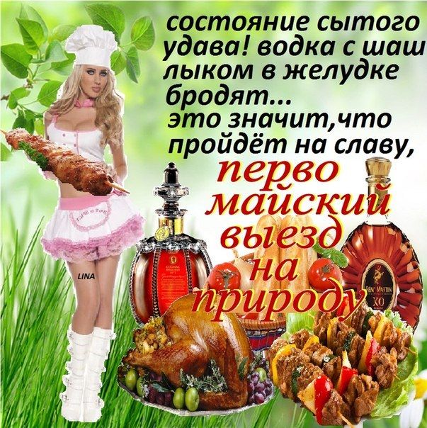 состояние сытого удава! водка с шашлыком в желудке бродят... это значит, что пройдет на славу, перво майский выезд на природу