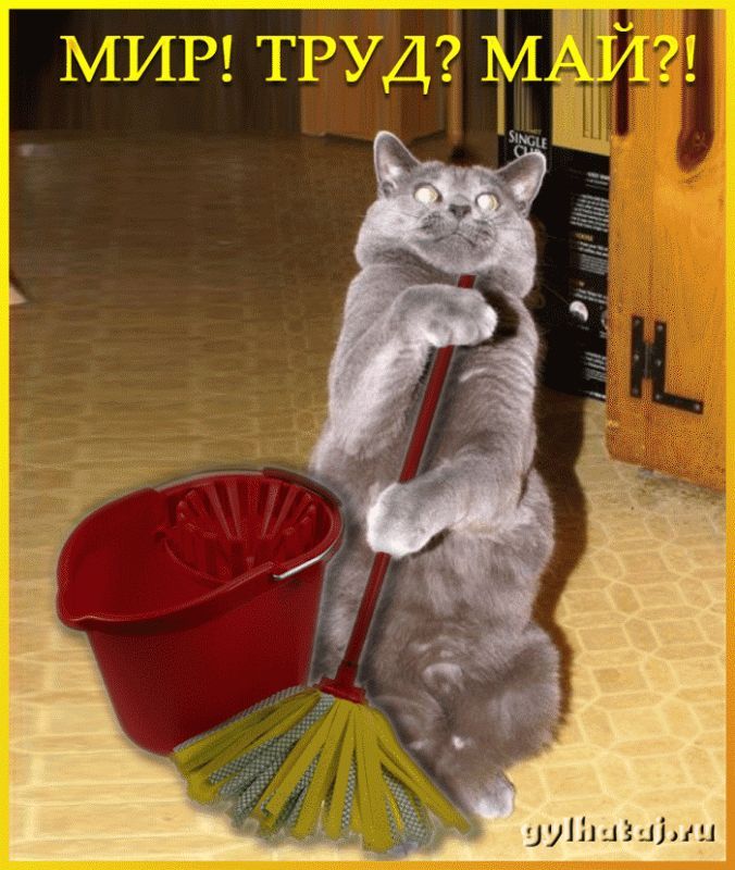 МИР! ТРУД? МАЙ?!