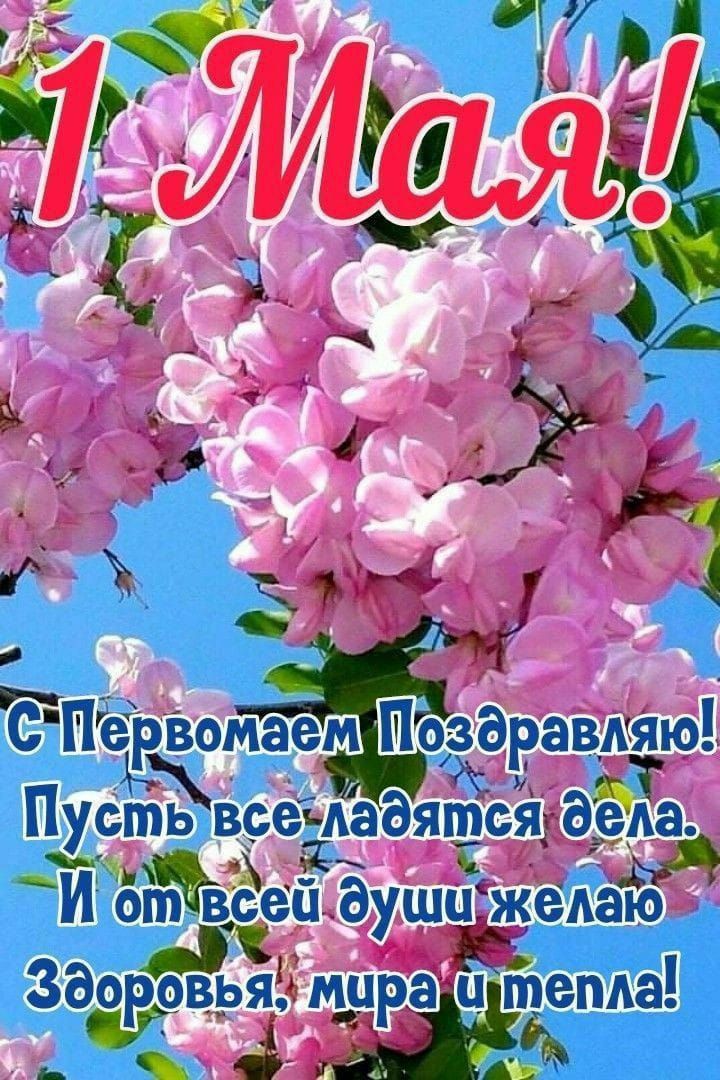 1 Мая! С Первомаем Поздравляю! Пусть все ладятся дела. И от всей души желаю Здоровья, мира и тепла!