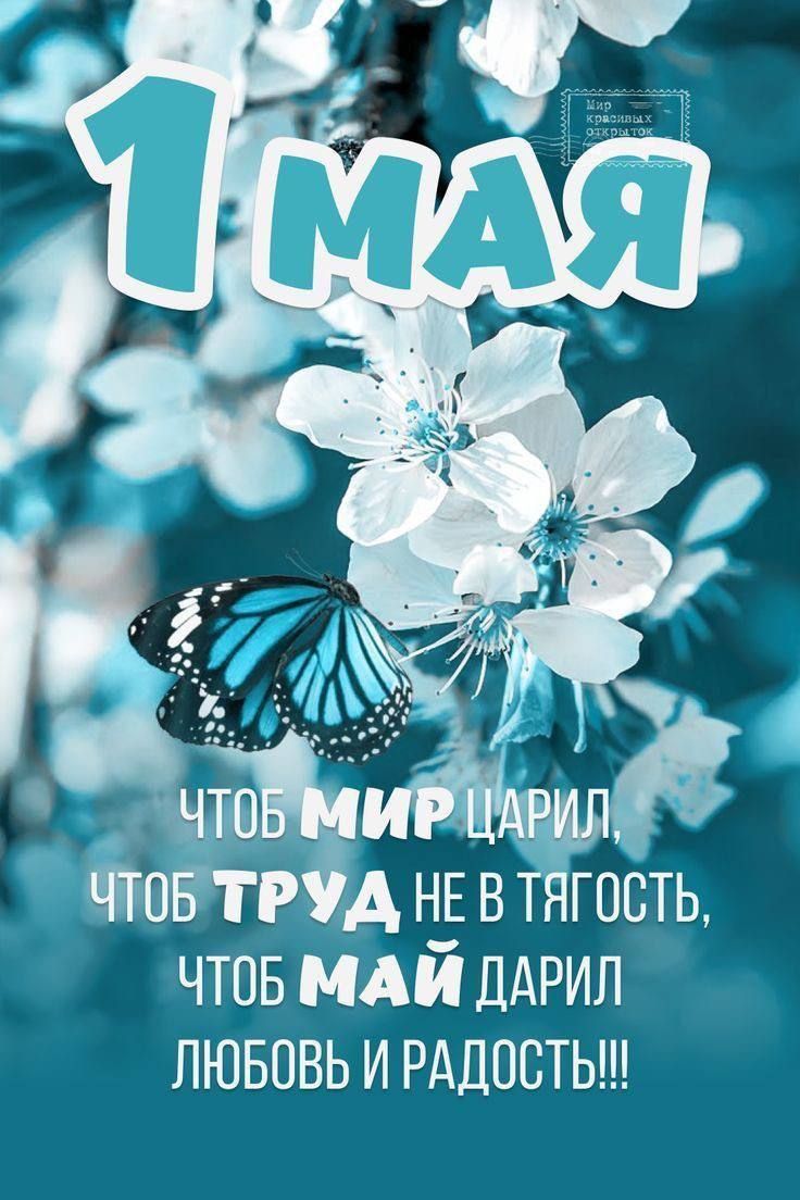 1 МАЯ
Чтоб МИР царил,
Чтоб ТРУД не в тягость,
Чтоб МАЙ дарил
ЛЮБОВЬ И РАДОСТЬ!!!