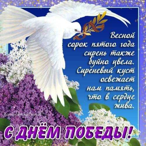 Весной сорок пятого года сирень так же буйно цвела. Сиреневый куст освещает нам память, что в сердце жива. С Днём Победы!