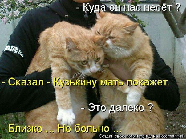 - Куда он нас несёт ?
- Сказал - Кузькину мать покажет.
- Это далеко ?
- Близко ... Но больно ...