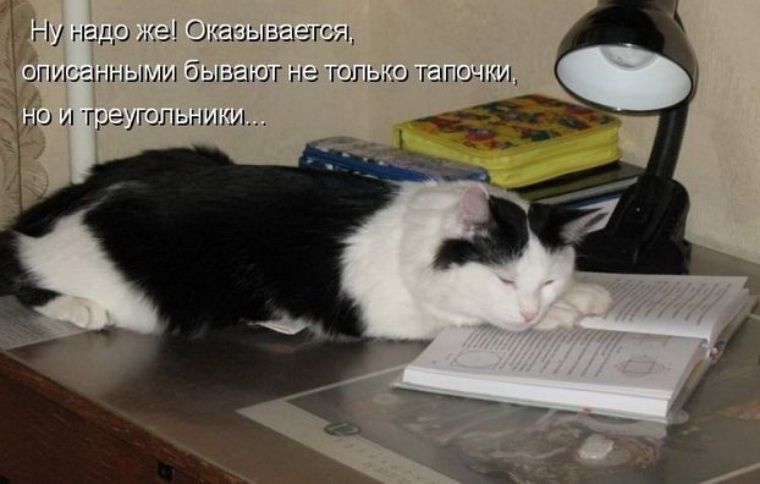 Ну надо же! Оказывается, описанными бывают не только тапочки, но и треугольники...