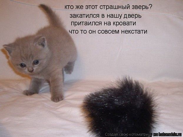 кто же этот страшный зверь? закатился в нашу дверь притоптался на кровати что то он совсем некстати