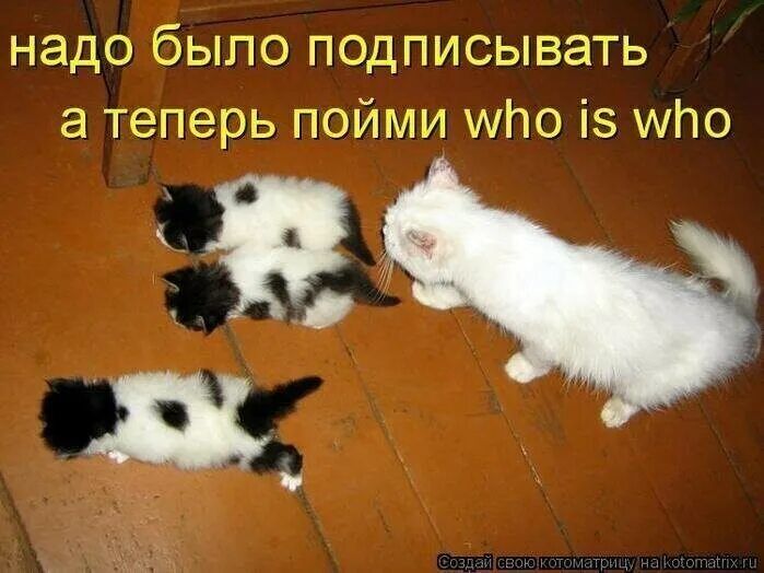 надо было подписывать а теперь пойми who is who