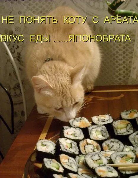 НЕ ПОНИТЬ КОТУ С АРБАТА ВКУС ЕДЫ ......ЯПОНОБРАТА