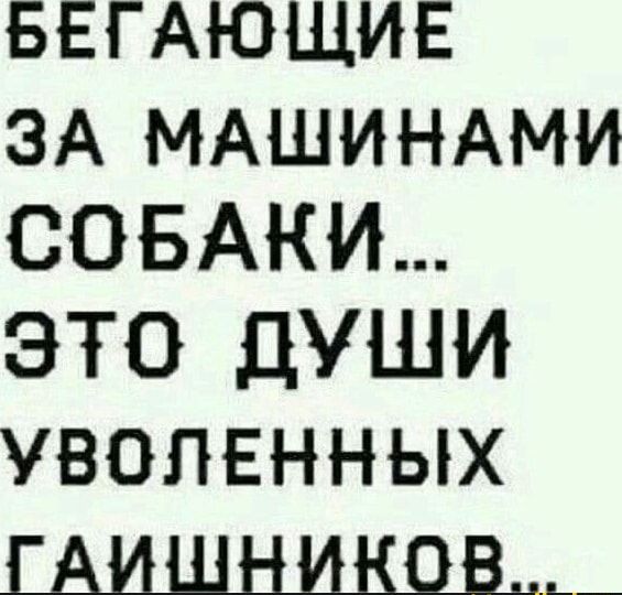 БЕГАЮЩИЕ ЗА МАШИНАМИ СОБАКИ... ЭТО ДУШИ УВОЛЕННЫХ ГАЙШНИКОВ...