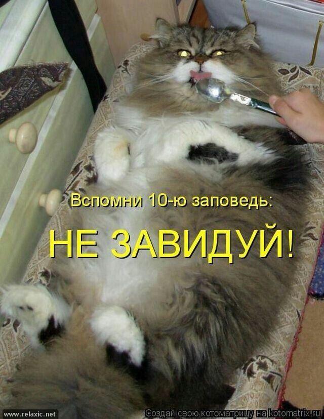 Вспомни 10-ю заповедь: НЕ ЗАВИДУЙ!