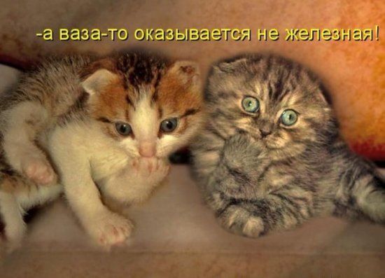 -а ваза-то оказывается не железная!
