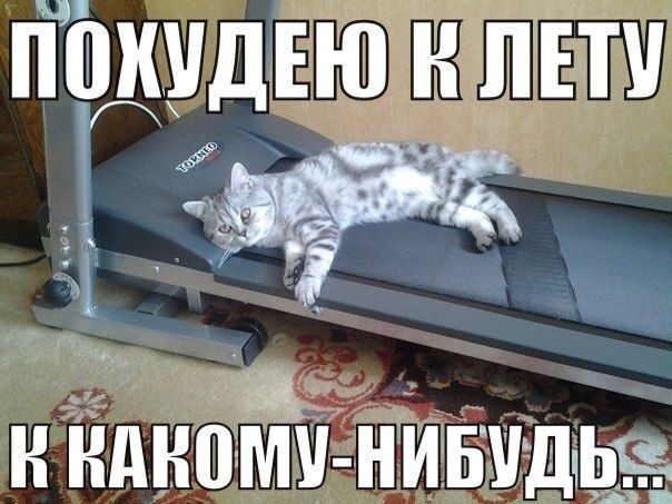 Похудею к лету
к какому-нибудь...