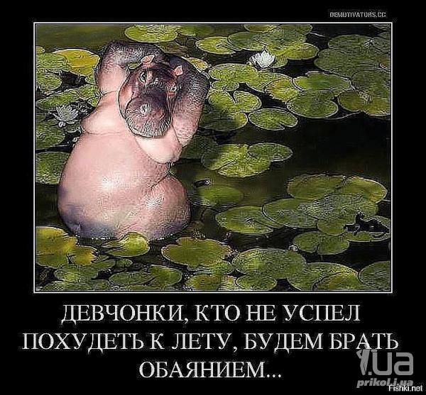 ДЕВЧОНКИ, КТО НЕ УСПЕЛ ПОХУДЕТЬ К ЛЕТУ, БУДЕМ БРАТЬ ОБАЯНИЕМ...