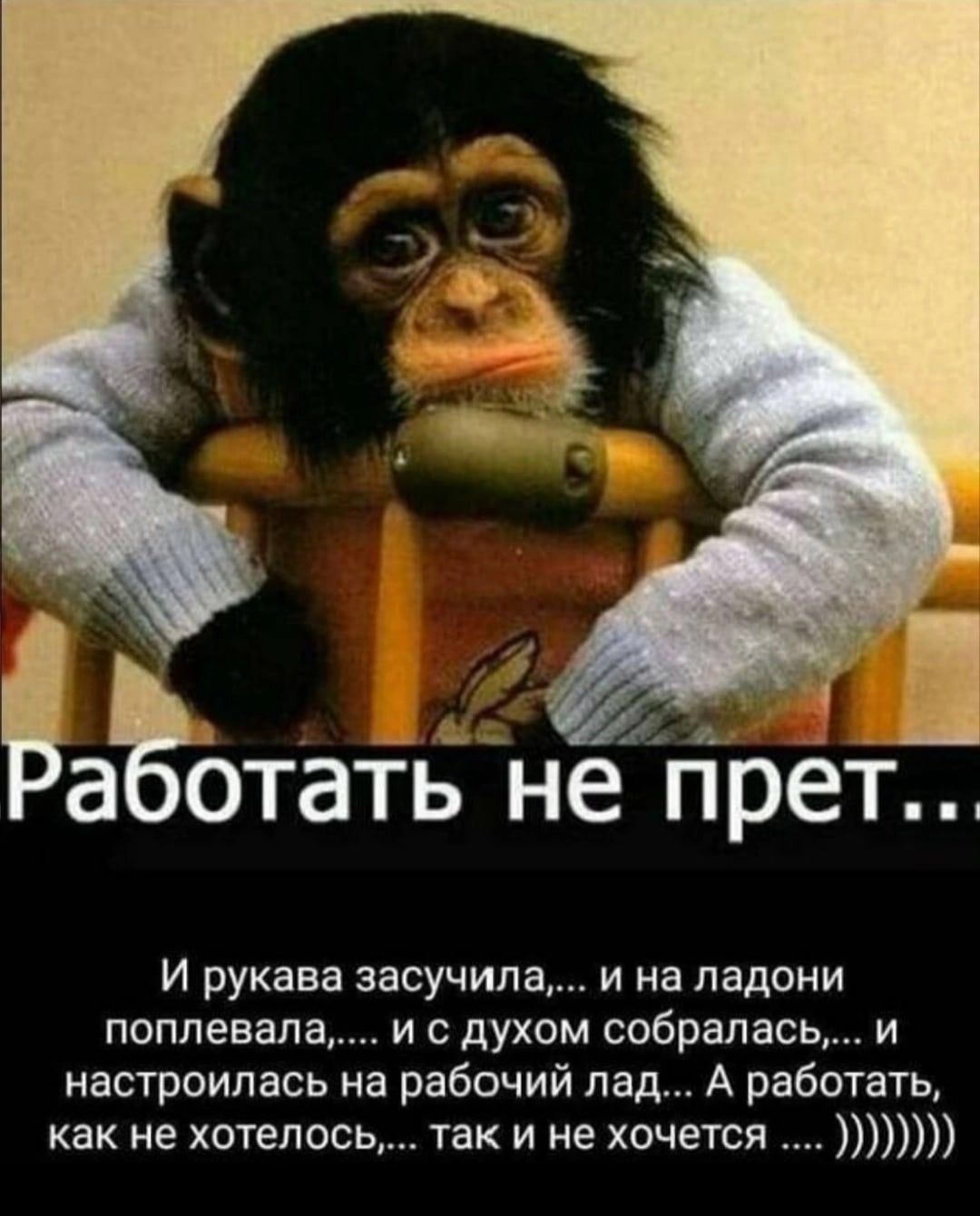 Работать не прет...

И рукава засучила,... и на ладони поплевала,... и с духом собралась,... и настроилась на рабочий лад... А работать, как не хотелось,... так и не хочется .... ))))))
