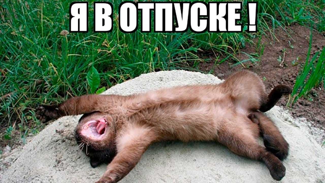Я В ОТПУСКЕ !
