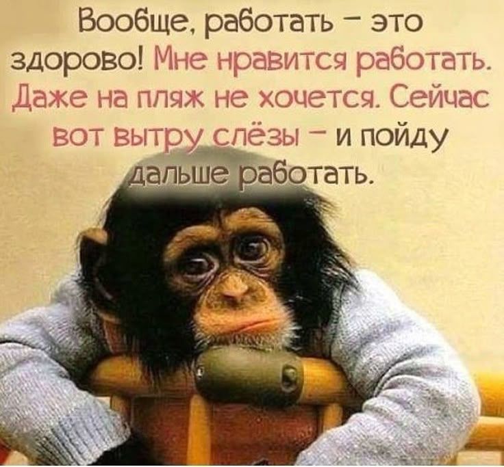 Вообще, работать – это здорово! Мне нравится работать. Даже на пляж не хочется. Сейчас вот вытру слёзы – и пойду дальше работать.