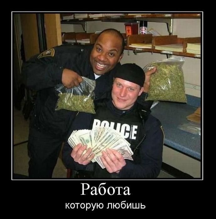 Работа, которую любишь