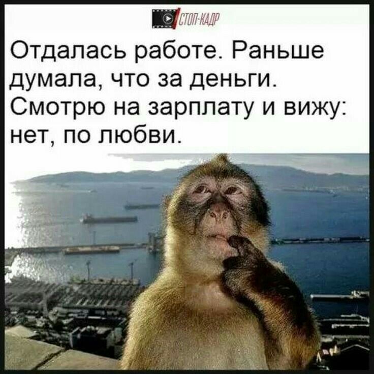 Отдалась работе. Раньше думала, что за деньги. Смотрю на зарплату и вижу: нет, по любви.