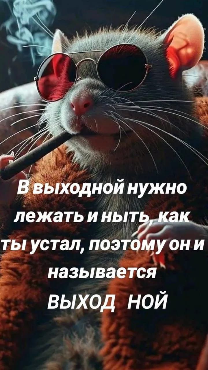В выходной нужно лежать и ныть как ты устал, поэтому он и называется ВЫХОД НОЙ