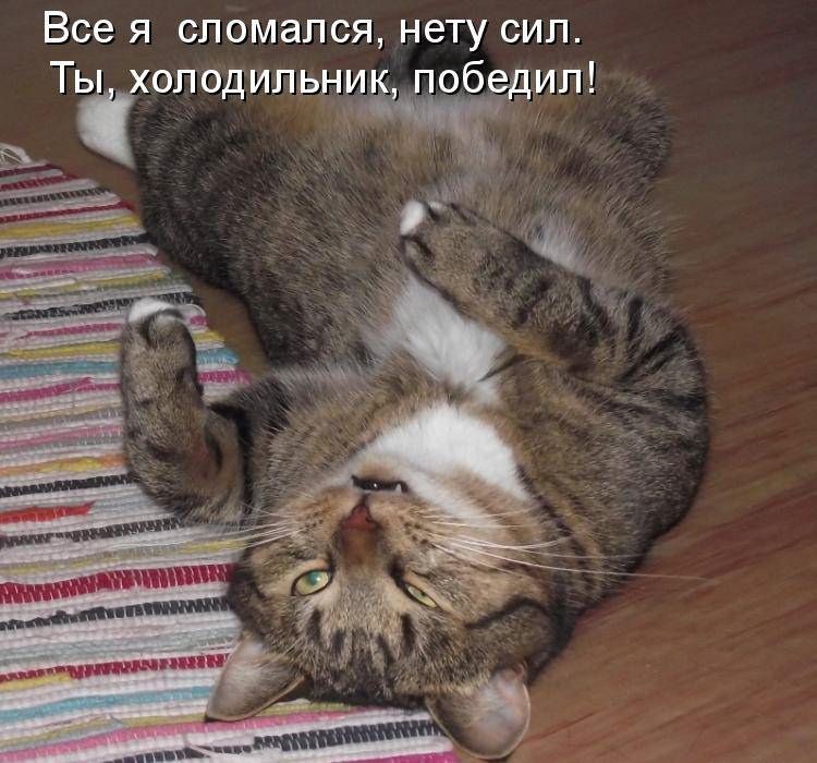 Все я сломался, нету сил. Ты, холодильник, победил!