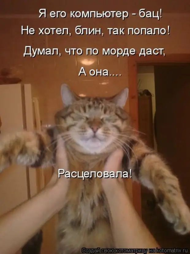 Я его компьютер - бац! Не хотел, блин, так попало! Думал, что по морде даст, А она.... Расцеловала!