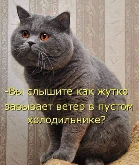 Вы слышите как жутко завывает ветер в пустом холодильнике?
