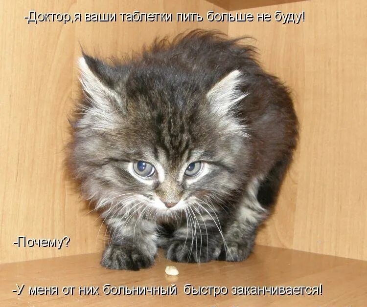 -Доктор, я ваши таблетки пить больше не буду! 
-Почему? 
-У меня от них болезненный быстро заканчивается!