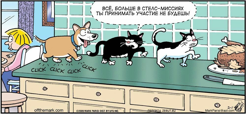 ВСЁ, БОЛЬШЕ В СТЕЛАС-МИССИЯХ ТЫ ПРИНИМАТЬ УЧАСТИЕ НЕ БУДЕШЬ!